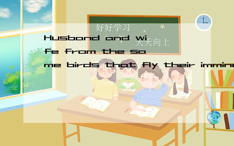 Husband and wife from the same birds that fly their imminent disaster!请英语高手翻译下 !英语水平不够  请高手帮忙翻译下 !
