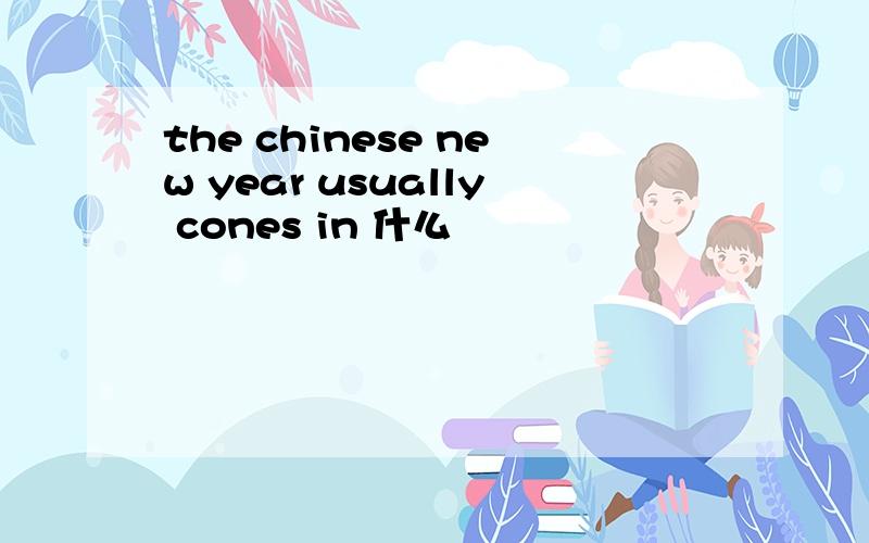 the chinese new year usually cones in 什么