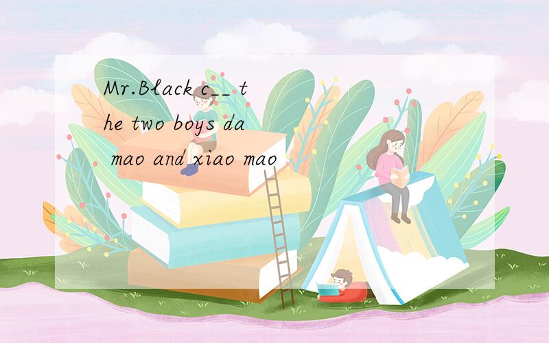 Mr.Black c__ the two boys da mao and xiao mao