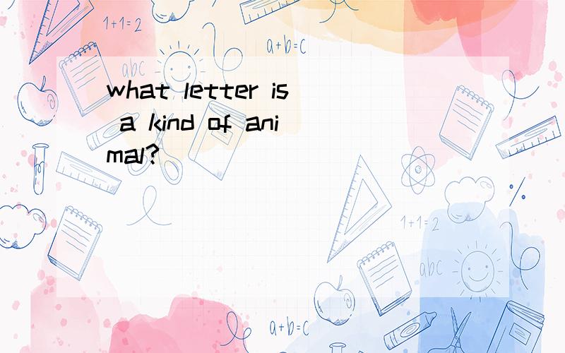 what letter is a kind of animal?