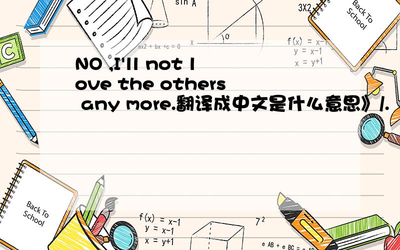 NO ,I'll not love the others any more.翻译成中文是什么意思》/.