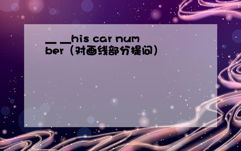 ＿ ＿his car number（对画线部分提问）