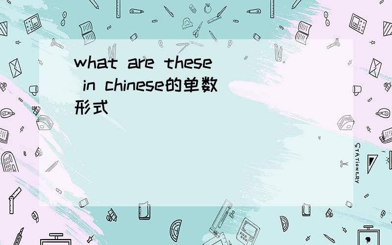 what are these in chinese的单数形式
